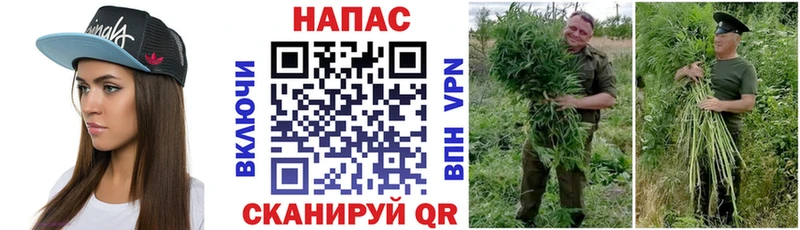Шишки марихуана тримм  кракен   Кирс 